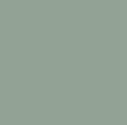 Эмаль 2425 CordonDoor